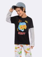 Conjunto Dinossauros.